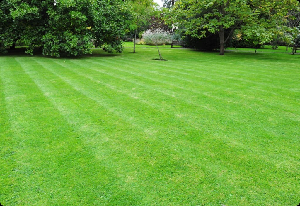 Manicured green lawn with professional mowing stripes