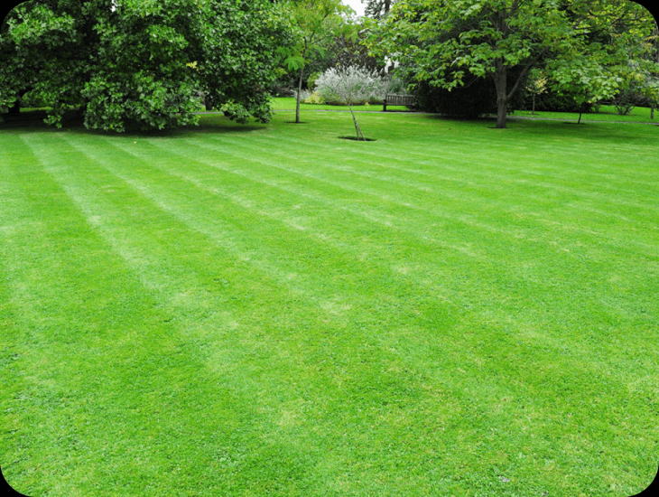 Manicured green lawn with professional mowing stripes