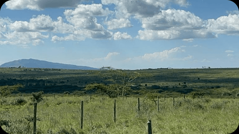 Open Kenyan landscape with rolling hills and distant mountains